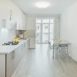 Apartment Domkolviv Lviv